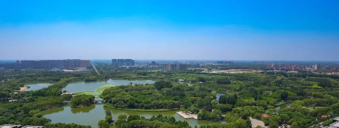 北京大兴区区长刘洋：全力建设“协同发展示范区、繁荣开放国门新城”8.jpg
