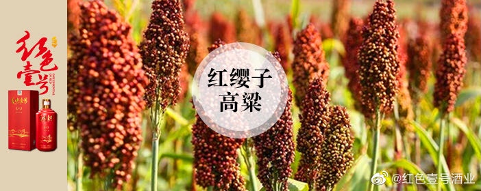 什么样的酱酒才好喝？酱香突出，优雅细腻的背后藏着这些秘密！