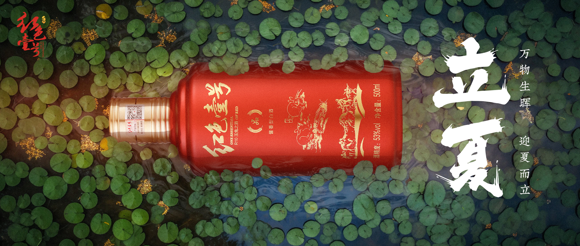 立夏.jpg