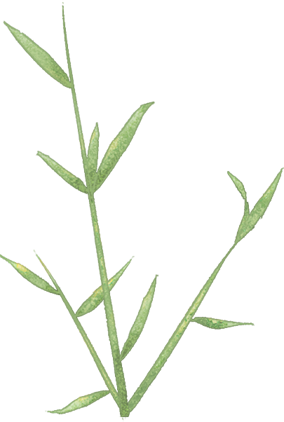 王阳明喝过茅台酒吗？(图4)