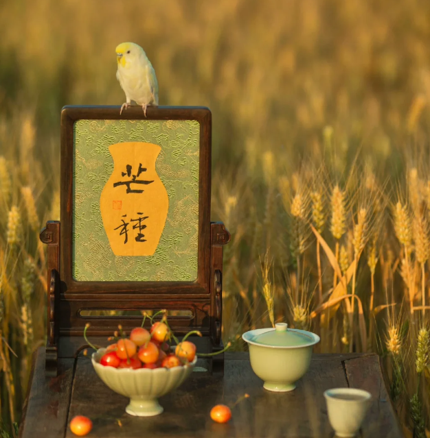唐 · 元稹《咏廿四气诗 · 芒种五月节 》