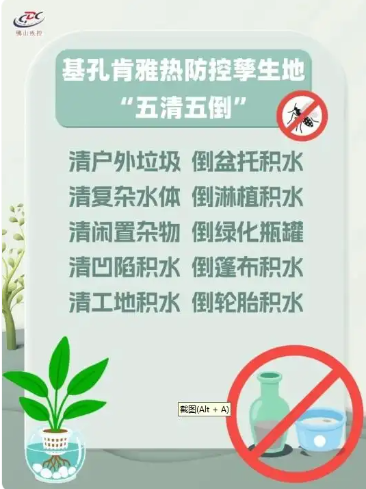 科学与健康｜清积水，灭蚊虫！基孔肯雅热这样防