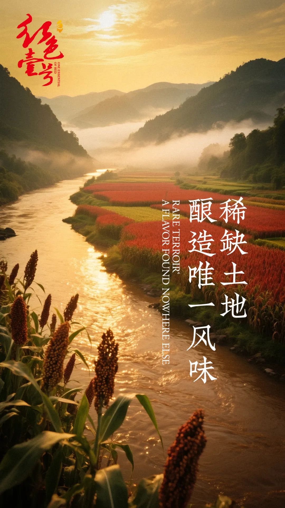 后消费时代硬通货：酱酒的“时间金库”属性