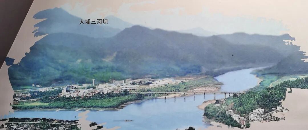 没有这场惨烈断后，就没有震惊史册的井冈山会师